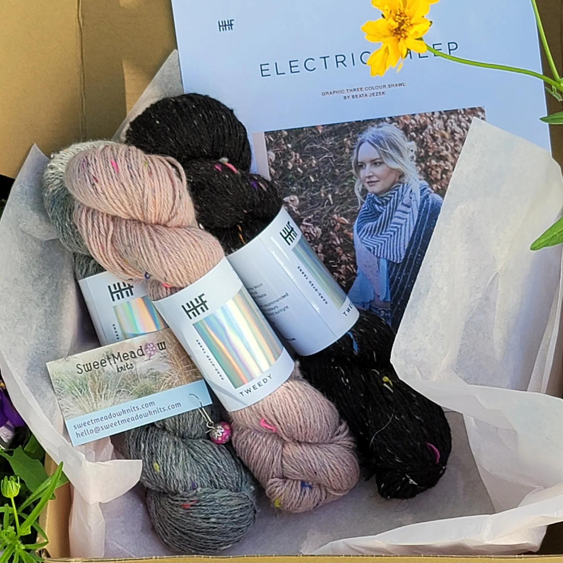 Electric Sheep Shawl Kit