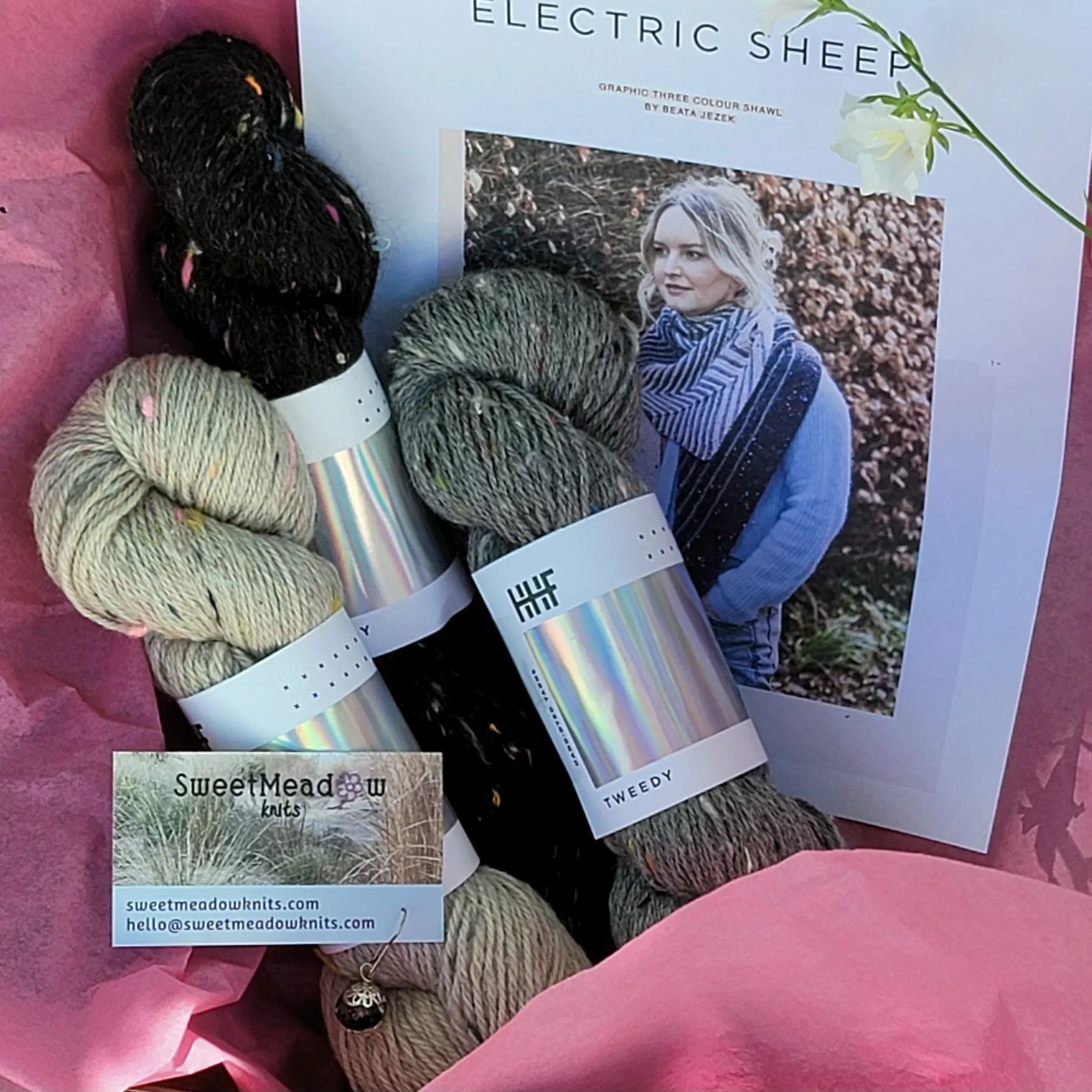 Electric Sheep Shawl Kit